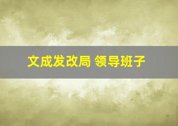 文成发改局 领导班子